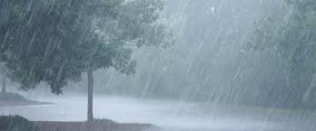 Untimely rains cause trouble